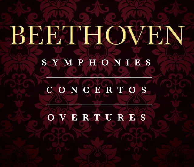 Symphony No. 9 in D Minor, Op. 125: IV. Finale: Presto