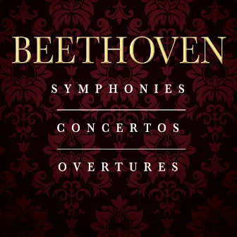 Beethoven: The Complete Symphonies, Concertos & Overtures by Hilary Davan Wetton