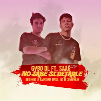 No Sabes Si Dejarle by GVBO DL