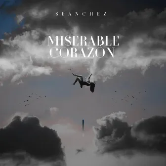 Miserable Corazon (Salsa) by Seanchez