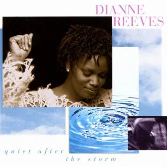 Quiet After The Storm by Dianne Reeves