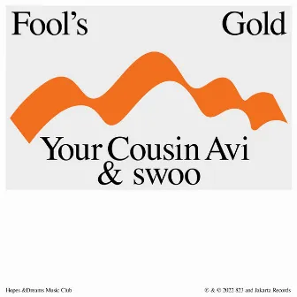 Fool's Gold by Your Cousin Avi