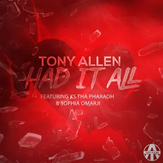 Had It All by Tony Allen