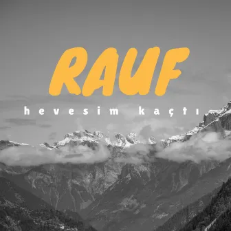 Hevesim Kaçtı by Rauf