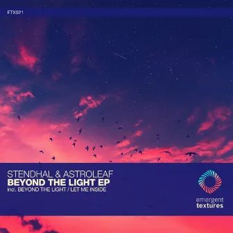 Beyond the Light / Let Me Inside by Astroleaf