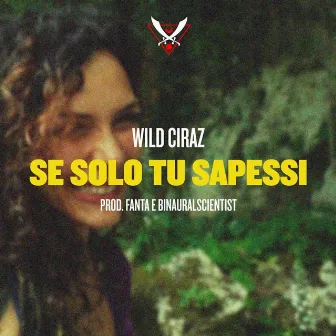 Se Solo Tu Sapessi by Wild Ciraz