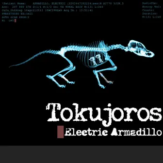 Electric Armadillo by Tokujoros