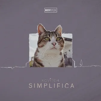 Simplifica by Kovitch