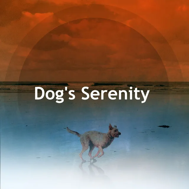 Dog's Serenity