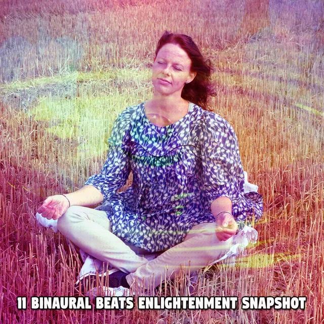 11 Binaural Beats Enlightenment Snapshot