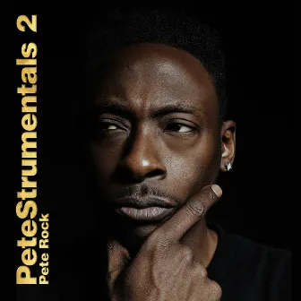 Petestrumentals 2 by Pete Rock