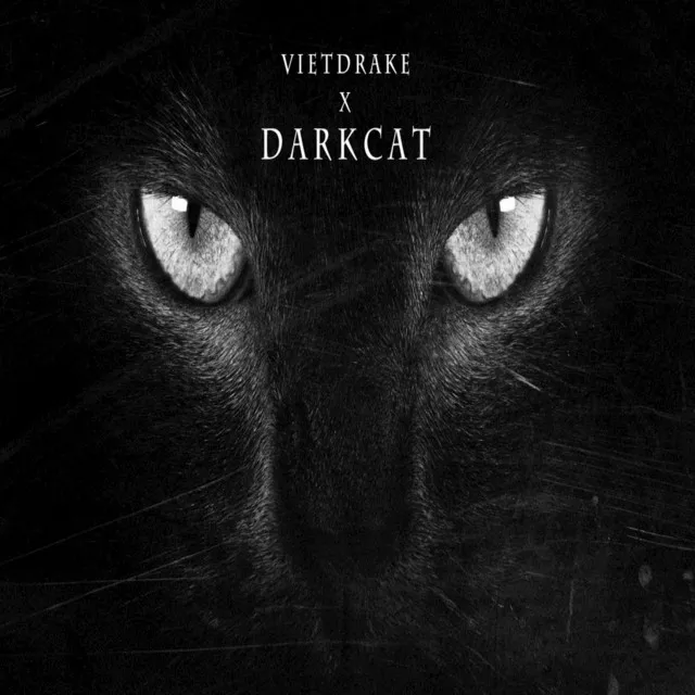 Dark Cat