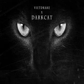 Dark Cat by Vietdrake