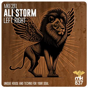 Left Right by Ali Storm