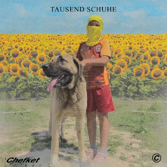 Tausend Schuhe by Kane 13