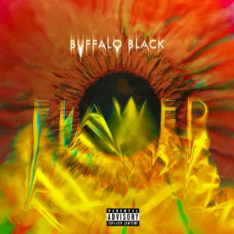 FLAWED by Buffalo Black