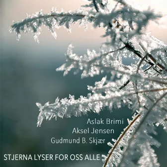 Stjerna lyser for oss alle by Aslak Brimi