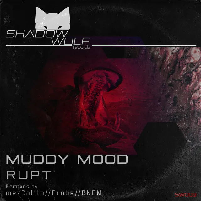 Muddy Mood - Probe Remix