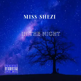 In the Night by Miss Shezi