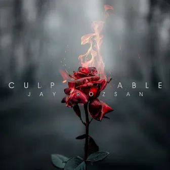 Culpable by Jay Rozsan