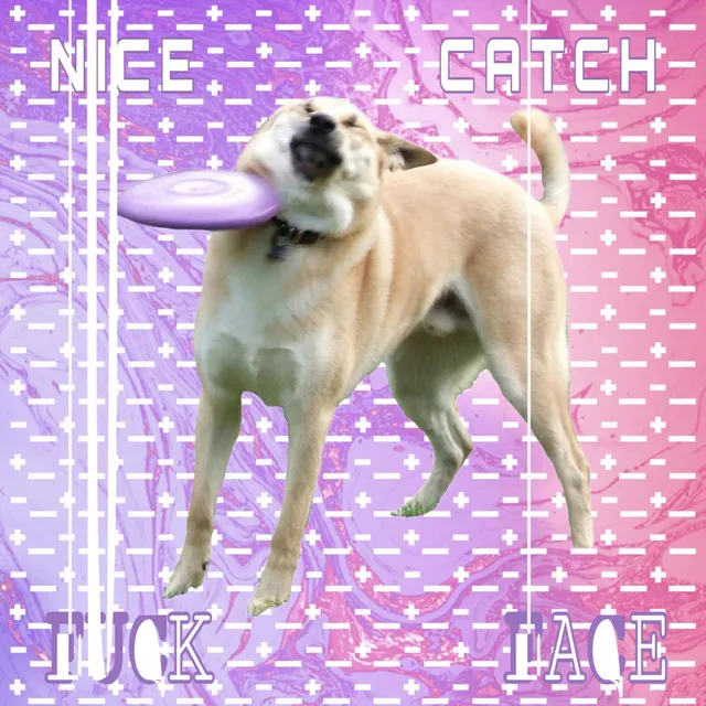 Nice Catch Fuckface - Acoustic Version