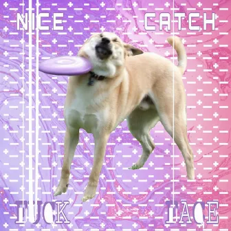 Nice Catch Fuckface by Unknown Artist