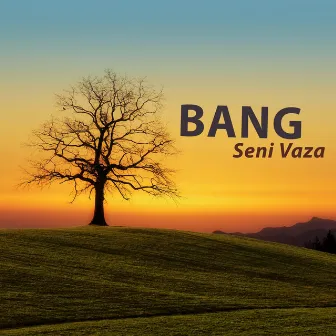 Seni Vaza by Bang