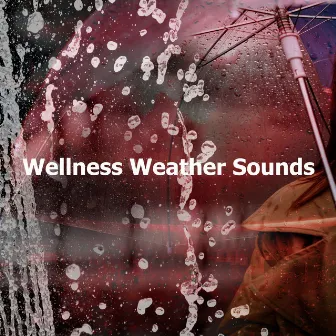 Wellness Weather Sounds by Unknown Artist