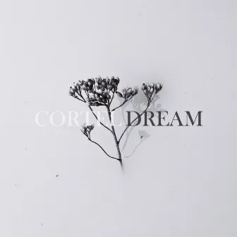 Dream by Cortel