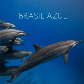 Brasil Azul (Trilha Sonora Original do Filme) by Alexandre Guerra