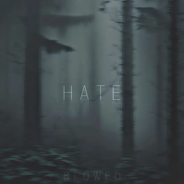 Hate (Slowed)