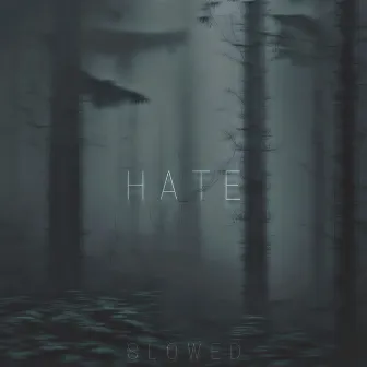 Hate (Slowed) by DVRKHOLD