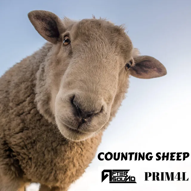 Counting Sheep