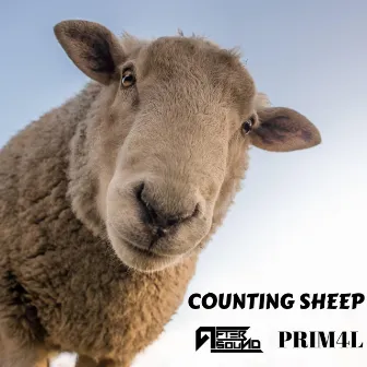 Counting Sheep by Prim4l