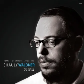 Toiv Hashem by Shauly Waldner