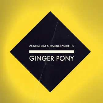 Ginger Pony by Marius Laurentiu