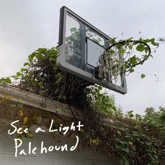 See A Light by Palehound