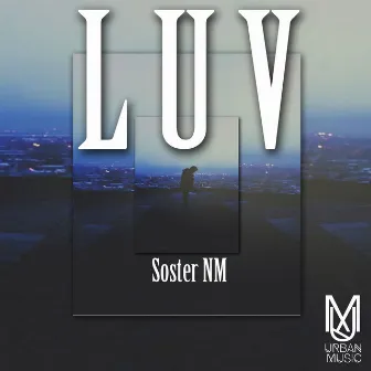 LUV by Soster NM