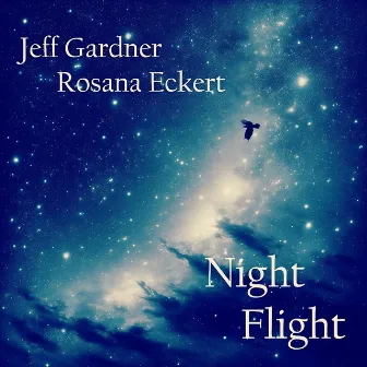 Night Flight by Jeff Gardner