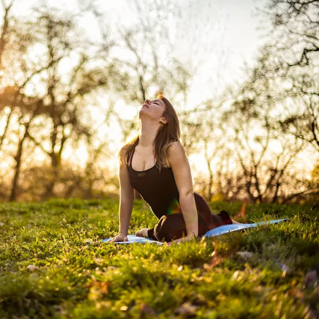 Yoga Serenade: Binaural and Crickets for Serenity