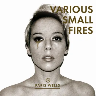 Various Small Fires by Paris Wells