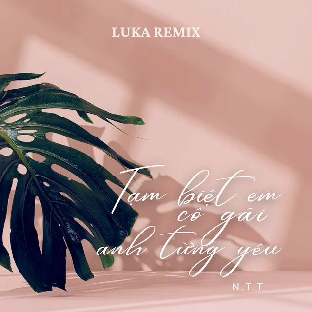 Tạm Biệt Em Cô Gái Anh Từng Yêu - Luka Remix