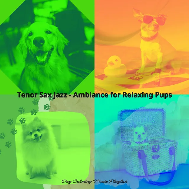 Trio Jazz Soundtrack for Relaxing Your Dog