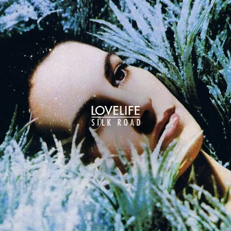 Silk Road EP by Lovelife