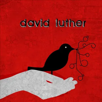 David Luther by David Luther