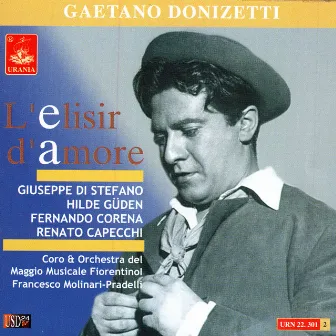 Donizetti: L'elisir d'amore by Antonio Tonini