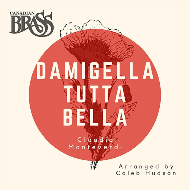 Damigella tutta bella