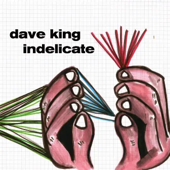 Indelicate by Dave King