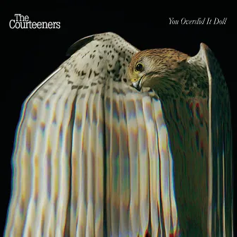 You Overdid It Doll by Courteeners