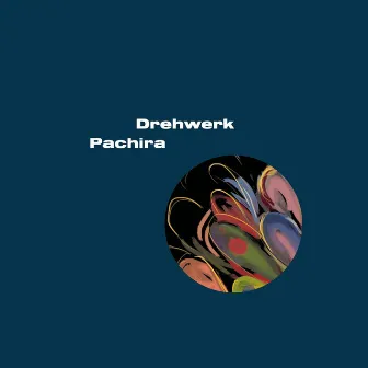 Pachira by Drehwerk